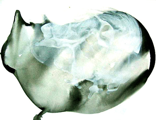 aquarell 2006 rites09