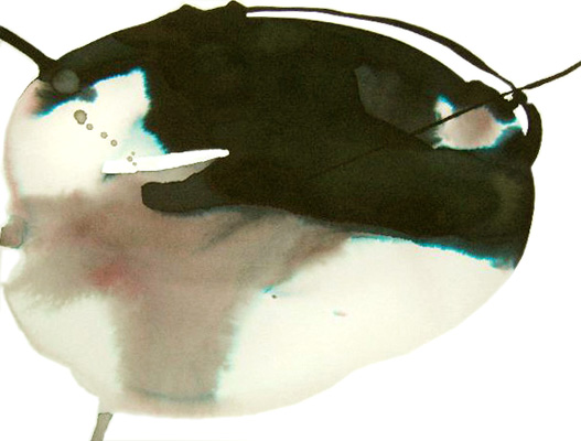 aquarell 2006 rites11