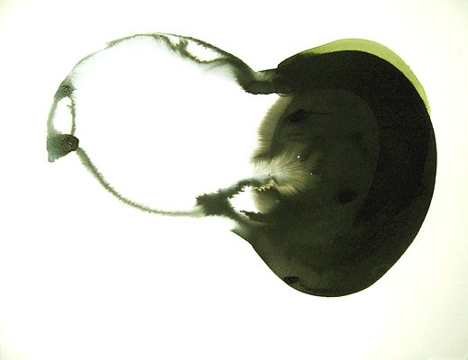 aquarell 2006 rites12